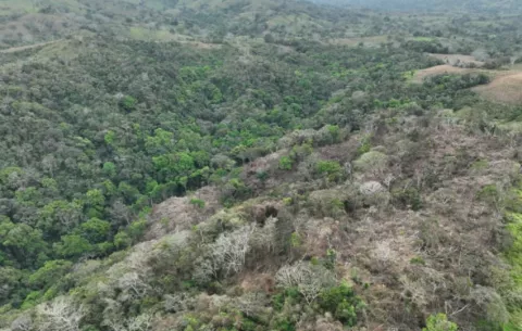 Hectáreas deforestadas en Río Cacao en Macaracas, un riesgo para 9 mil habitantes