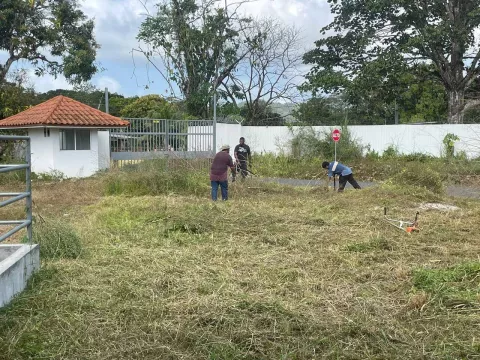 Inician trabajos de limpieza en los terrenos de la Feria Nacional de Colón