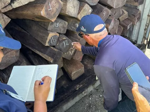Presentan querella penal contra empresa por comercializar madera de cocobolo