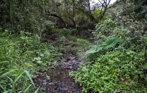 Retos de Centroamérica en materia hídrica: la contaminación y el acceso al agua 