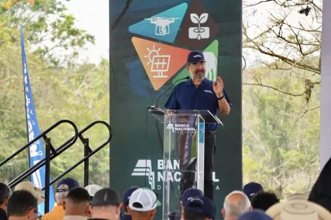 Créditos agropecuarios del Banco Nacional superaron los $700 millones