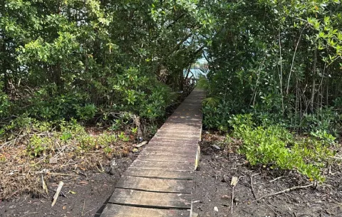 Denuncian la construcción de puentes de acceso improvisados al aeropuerto en Isla Colón 