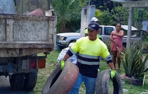 Informe epidemiológico: no se registran casos de Chikungunya ni Viruela Símica en lo que va del año