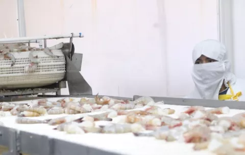 Exportaciones en Panamá registran un aumento en lo que va del 2025