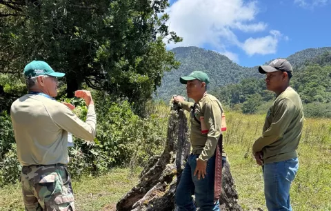 Entrenan a 30 guardaparques para custodiar el patrimonio natural