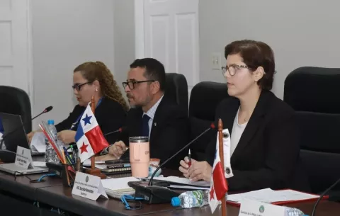 Seguirán con el análisis de los cambios a la ley de adopciones