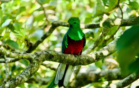 Chiriquí, la joya oculta de Panamá