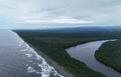 MiAmbiente evalúa cobertura boscosa del Parque Nacional San San Pond Sack