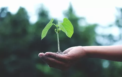 Día Mundial de la Tierra 2025: 'Nuestro Poder, Nuestro Planeta'
