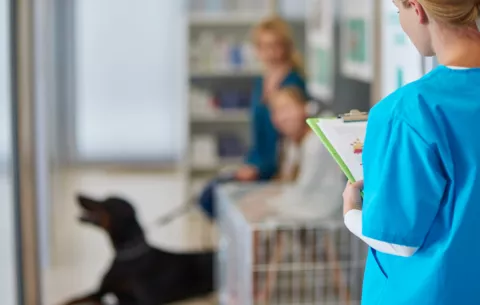 Hospital de Mascotas: ¿cómo avanza la licitación?
