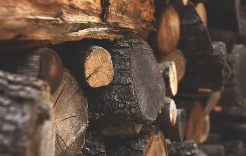 Productores de madera piden flexibilizar normas para reactivar el sector