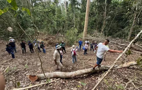 Tortuga, la comunidad que se posiciona como modelo de manejo forestal  en Darién