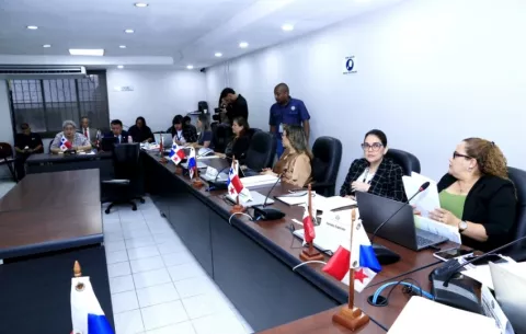Mesa técnica decidirá los cambios a la Ley de Adopción