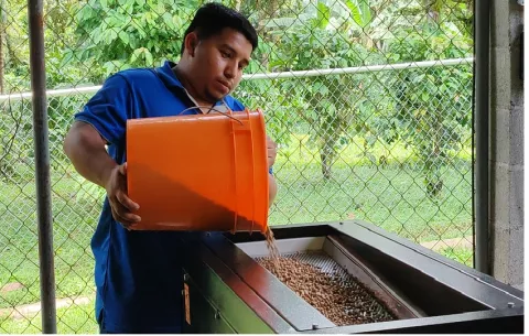 Avanza plan estratégico para implementar la ley del café robusta