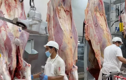 Panamá está a un paso de exportar carne bovina a EE.UU.