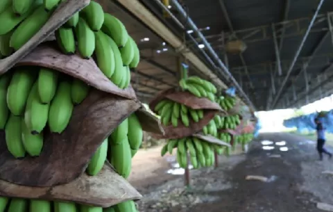 Exportaciones crecen un 26.4% en los primeros dos meses de 2025
