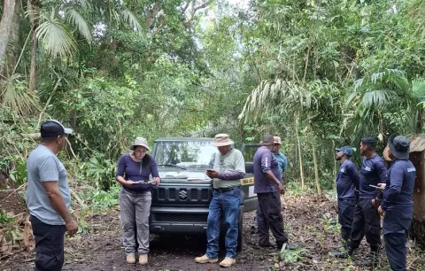 Panamá Oeste entre los puntos del país para observar aves