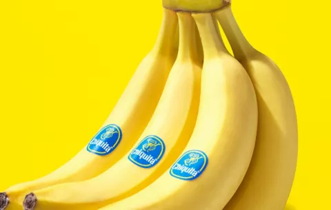 Más de $10 millones en pérdidas deja huelga bananera; hay más de 900 mil cajas de la fruta sin exportar