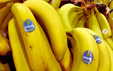 Huelga de trabajadores deja pérdida de 450 mil cajas de banano