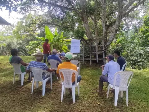 Impulsan en Colón la producción de café robusta