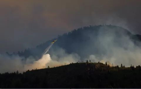 Greenpeace: Semana del Clima es una 'oportunidad' para iniciar un plan antideforestación