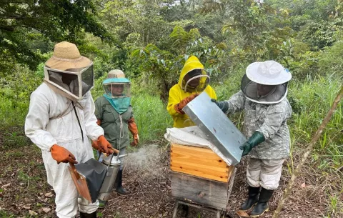 Protegen producción de miel de abeja en el área de Santa Rosa, distrito de Capira