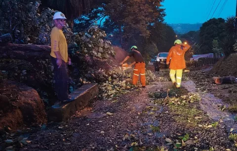 Fuertes lluvias causaron caída de árboles, inundaciones en varias provincias del país