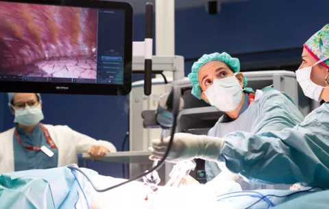 Desarrollan  técnica mínimamente invasiva que ofrece alternativa a los anticoagulantes de por vida