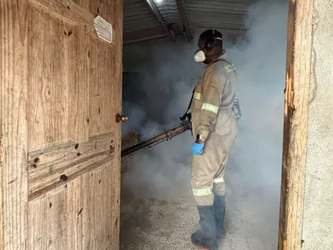 Minsa detecta criaderos de Aedes aegypti en Donoso