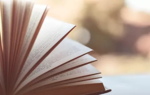 Panamá busca profundizar la relación con Colombia por medio de la literatura