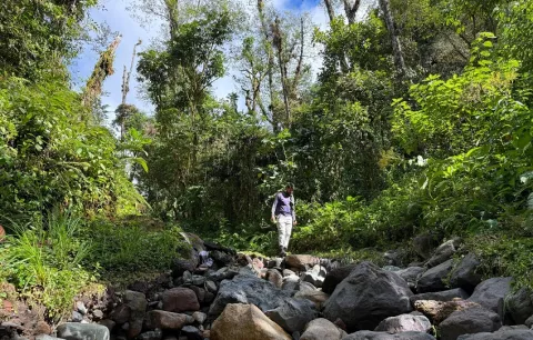Por mal tiempo cierran temporalmente el sendero Los Quetzales, Chiriquí