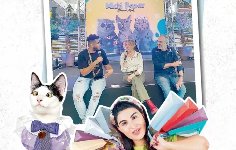 Gatitos y más: Michi Bazar 2025