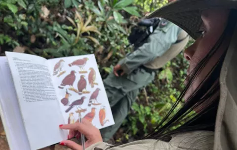 Panamá registró 750 especies en la jornada mundial de observación de aves