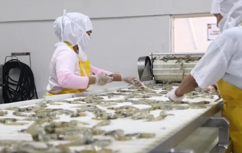 Panamá cierra el primer trimestre del año con alza récord en sus exportaciones