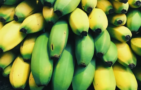 Trabajadores bananeros rechazan propuesta del Ejecutivo; diálogo en Bocas del Toro continúa