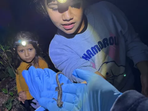 Promueven la conservación en el II Festival Internacional de la Salamandra