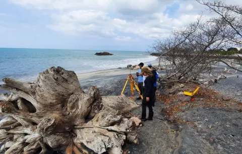 En torno a 900 kilómetros de la costa del Pacífico de Panamá presentan erosión, revela nuevo estudio