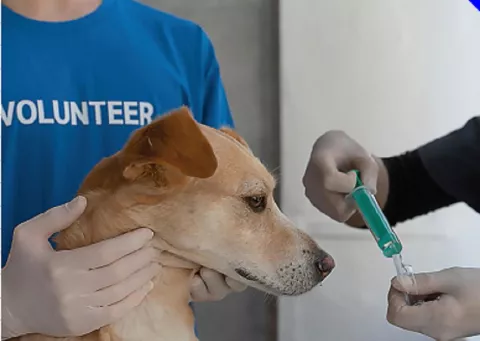 Dos reclamos detienen acto del Hospital  de Mascotas