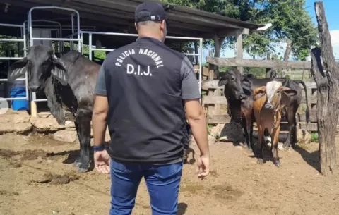 Comunicadores sociales en Colón se capacitarán en hurto pecuario
