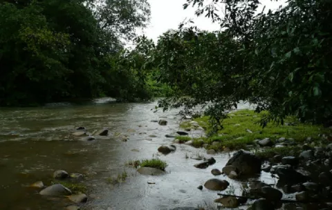 Ordenan el cierre temporal del vertedero de Macaracas