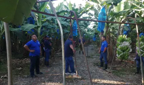 Moltó está optimista sobre posible retorno de Chiquita a Changuinola