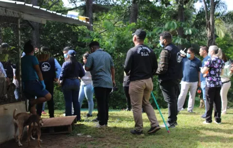 Por hacinamiento y sobrepoblación animal suspenden las actividades de un albergue en La Chorrera
