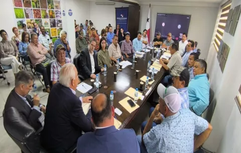 Buscan normar importación de arroz