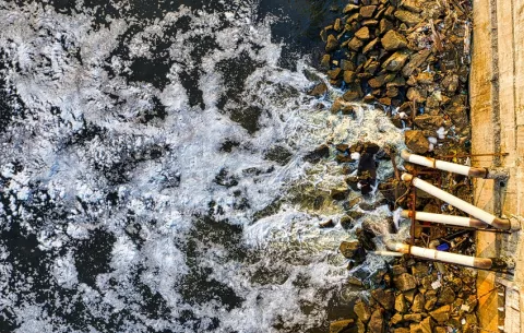 Denuncias de delitos contra el ambiente aumentan en 20% en el primer semestre del año