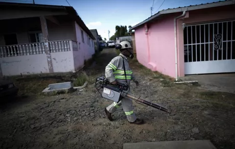 Panamá acumula 6.458 casos de dengue y 10 muertes  hasta junio de 2025