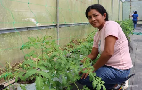 Panamá avanza en el fortalecimiento de la agricultura familiar, la nutrición y la resiliencia al cambio climático