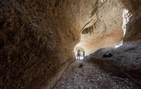 Fósiles expuestos de hace 7,000 años revelan cómo la pesca humana transformó los arrecifes del Caribe