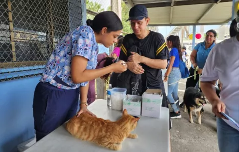 Realizan la primera Feria de Atención Veterinaria en el Cefere