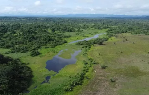 Complejo de Humedales de Matusagaratí se convierte en el sexto sitio Ramsar en Panamá