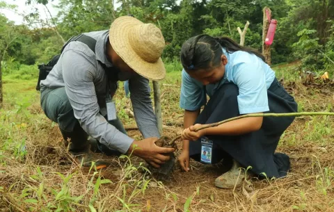 Canal de Panamá y comunidades de río Indio desarrollan plan de reforestación para proteger fuentes de agua